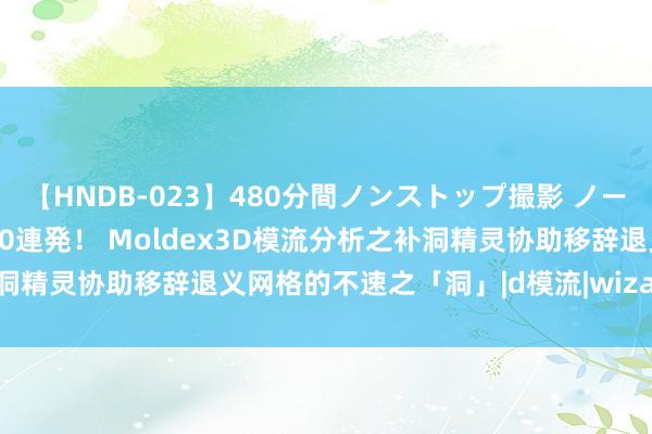 【HNDB-023】480分間ノンストップ撮影 ノーカット編集で本物中出し10連発！ Moldex3D模流分析之补洞精灵协助移辞退义网格的不速之「洞」|d模流|wizard|moldex