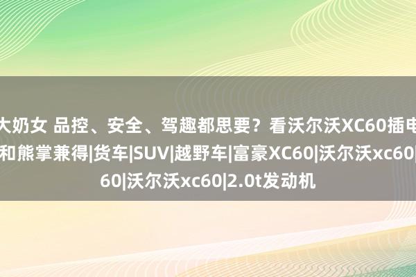 大奶女 品控、安全、驾趣都思要？看沃尔沃XC60插电混动给你鱼和熊掌兼得|货车|SUV|越野车|富豪XC60|沃尔沃xc60|2.0t发动机