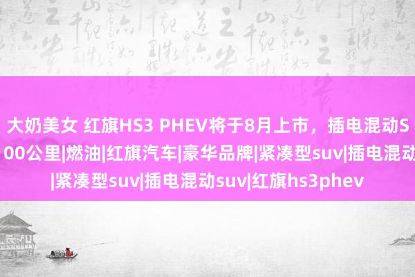 大奶美女 红旗HS3 PHEV将于8月上市，插电混动SUV，概述续航超1100公里|燃油|红旗汽车|豪华品牌|紧凑型suv|插电混动suv|红旗hs3phev