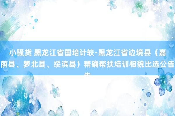 小骚货 黑龙江省国培计较-黑龙江省边境县（嘉荫县、萝北县、绥滨县）精确帮扶培训相貌比选公告