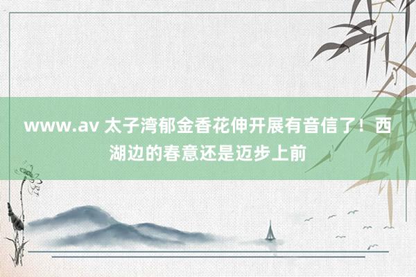 www.av 太子湾郁金香花伸开展有音信了！西湖边的春意还是迈步上前