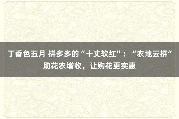 丁香色五月 拼多多的“十丈软红”：“农地云拼”助花农增收，让购花更实惠