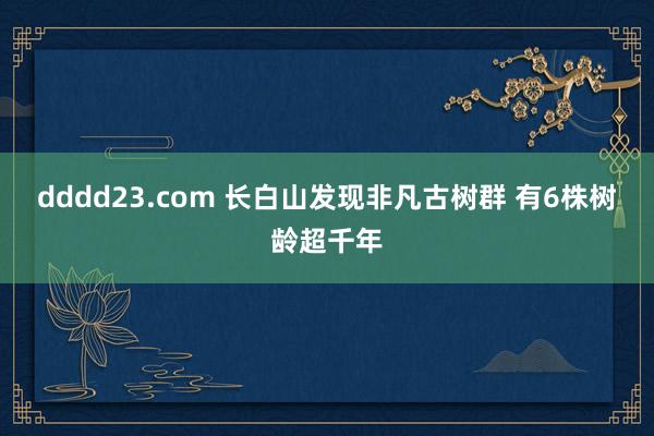 dddd23.com 长白山发现非凡古树群 有6株树龄超千年