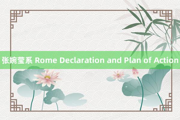 张婉莹系 Rome Declaration and Plan of Action