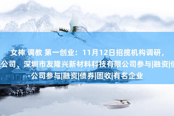 女神 调教 第一创业：11月12日招揽机构调研，中信证券股份有限公司、深圳市友隆兴新材料科技有限公司参与|融资|债券|固收|有名企业