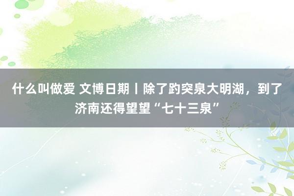 什么叫做爱 文博日期丨除了趵突泉大明湖，到了济南还得望望“七十三泉”