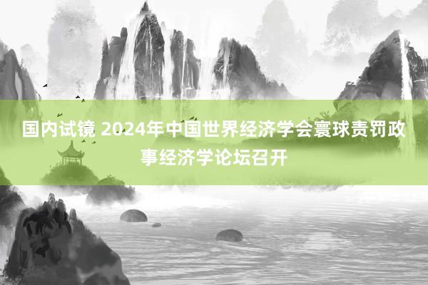 国内试镜 2024年中国世界经济学会寰球责罚政事经济学论坛召开