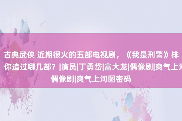 古典武侠 近期很火的五部电视剧，《我是刑警》排在第三，你追过哪几部？|演员|丁勇岱|富大龙|偶像剧|爽气上河图密码